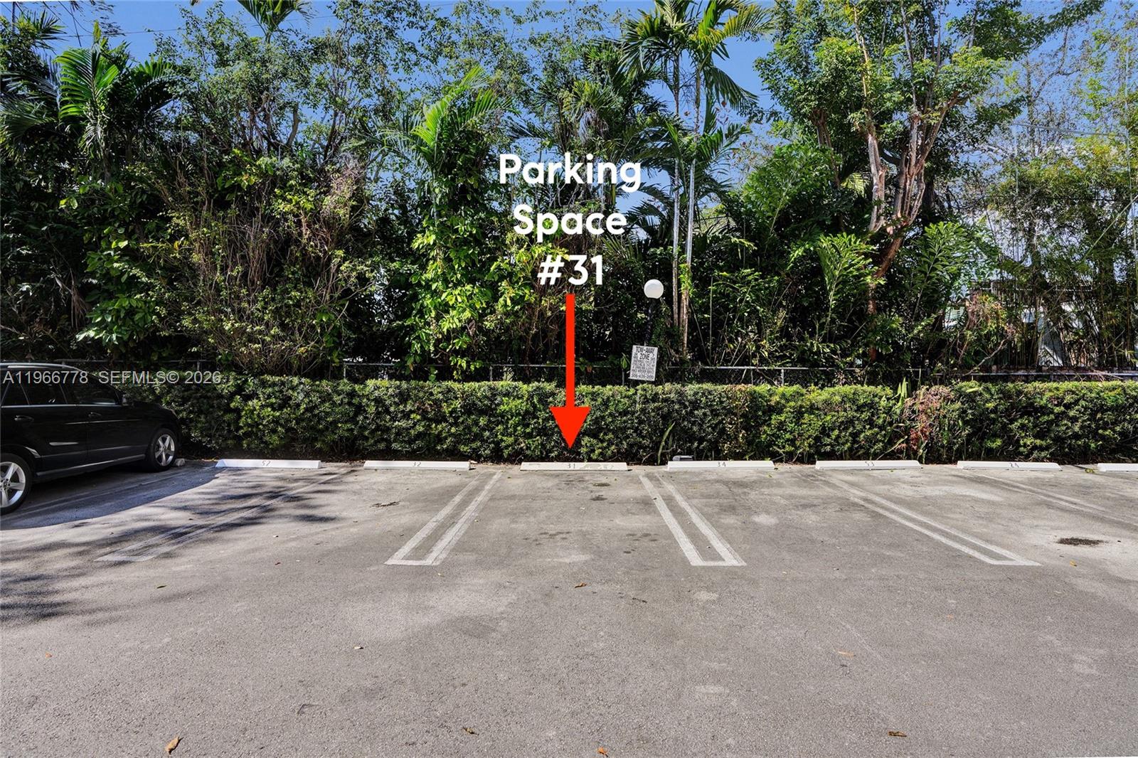 1834 Brickell Avenue, Unit 31 Miami, FL 33129 - Photo 35 of 35 a view of road and trees