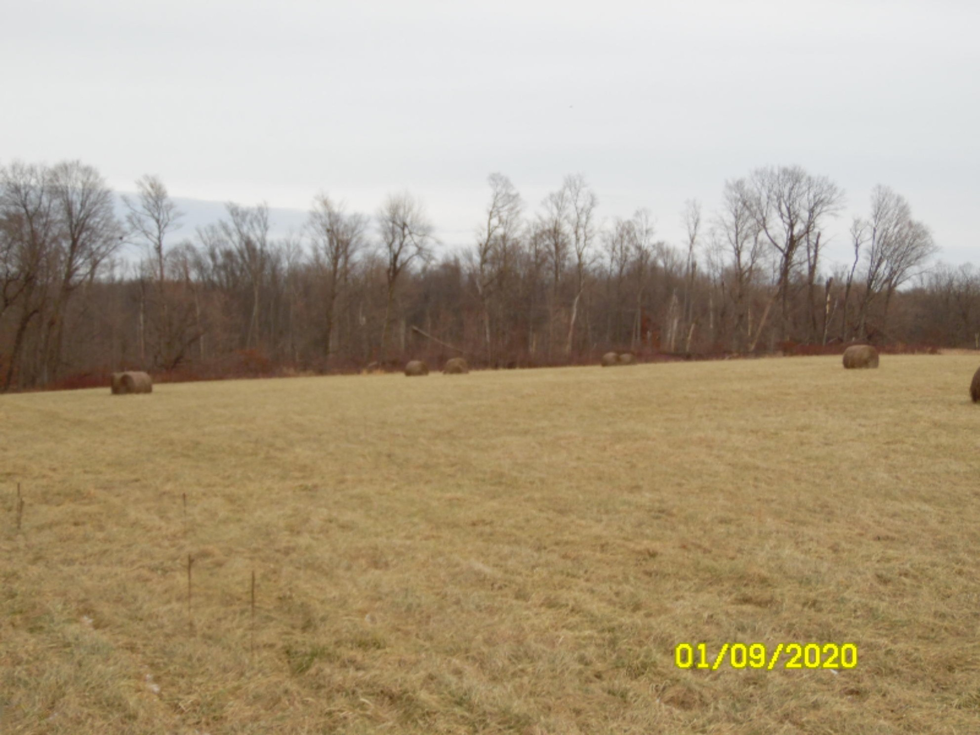 1040 Hacker Road Sherwood, MI 49089 - Photo 19 of 33 SAM_8469