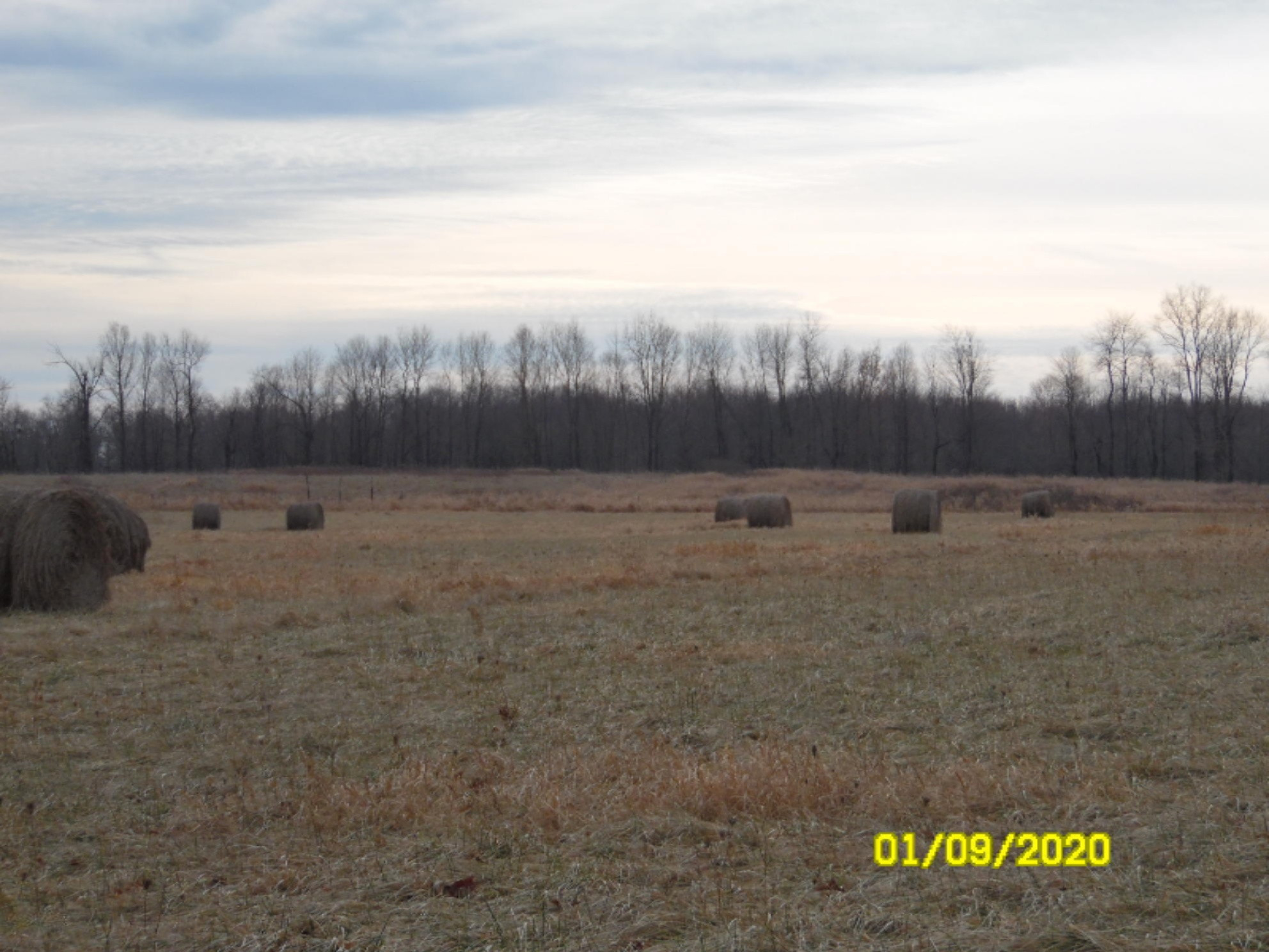 1040 Hacker Road Sherwood, MI 49089 - Photo 20 of 33 SAM_8470