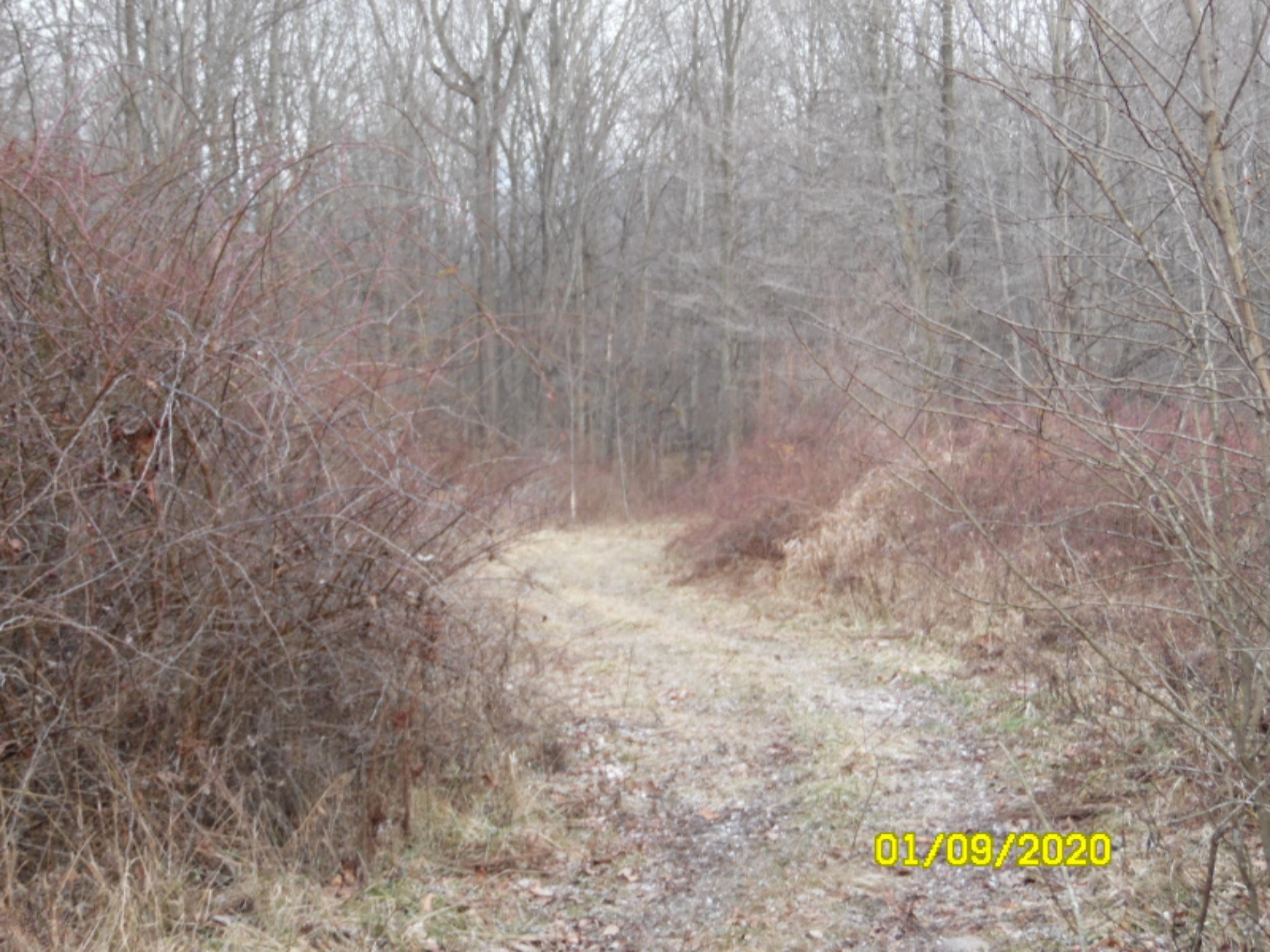 1040 Hacker Road Sherwood, MI 49089 - Photo 22 of 33 SAM_8472