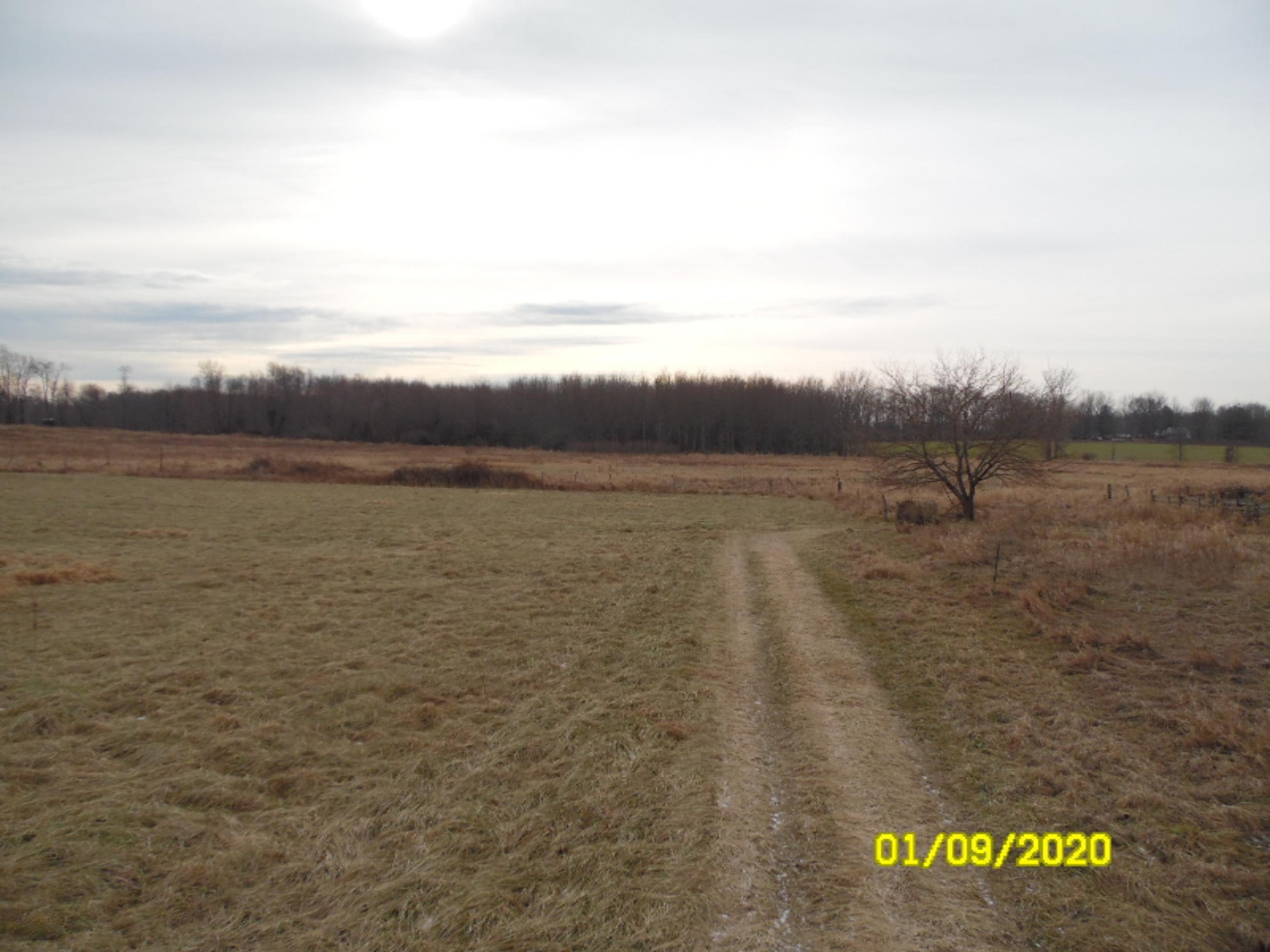 1040 Hacker Road Sherwood, MI 49089 - Photo 23 of 33 SAM_8466