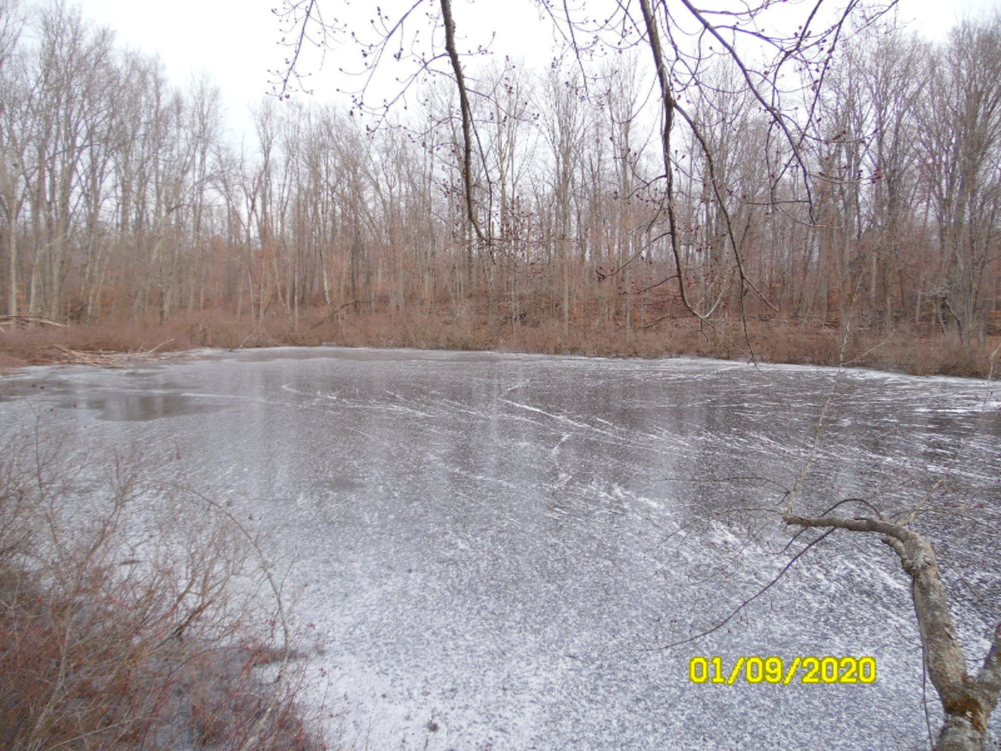 1040 Hacker Road Sherwood, MI 49089 - Photo 24 of 33 SAM_8491