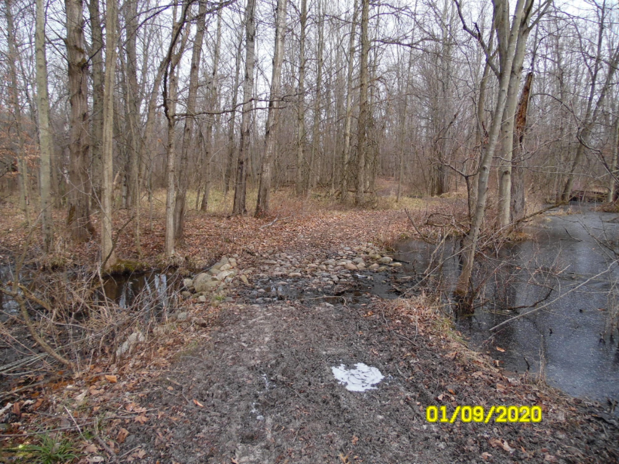 1040 Hacker Road Sherwood, MI 49089 - Photo 25 of 33 SAM_8479