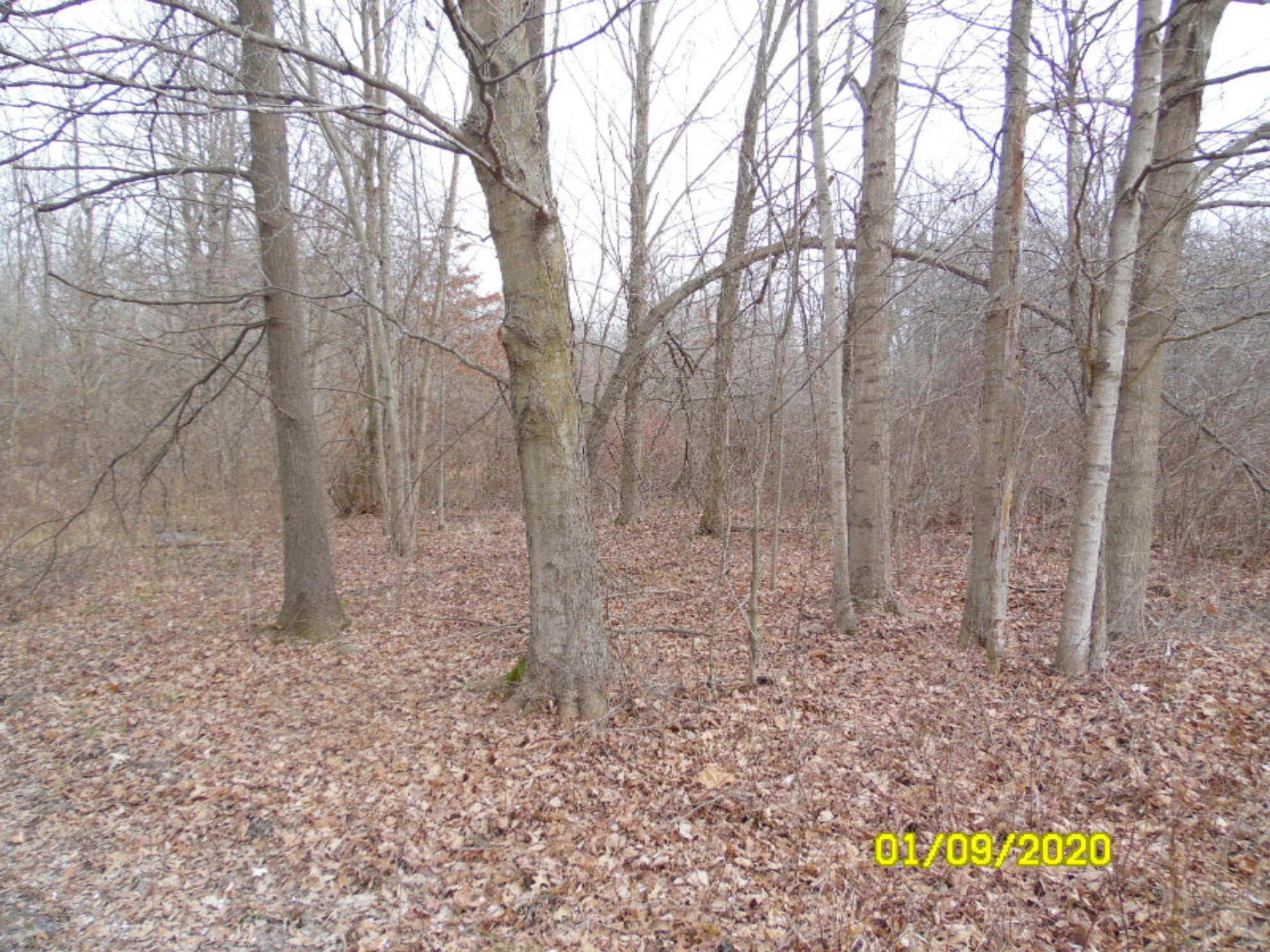 1040 Hacker Road Sherwood, MI 49089 - Photo 27 of 33 SAM_8474