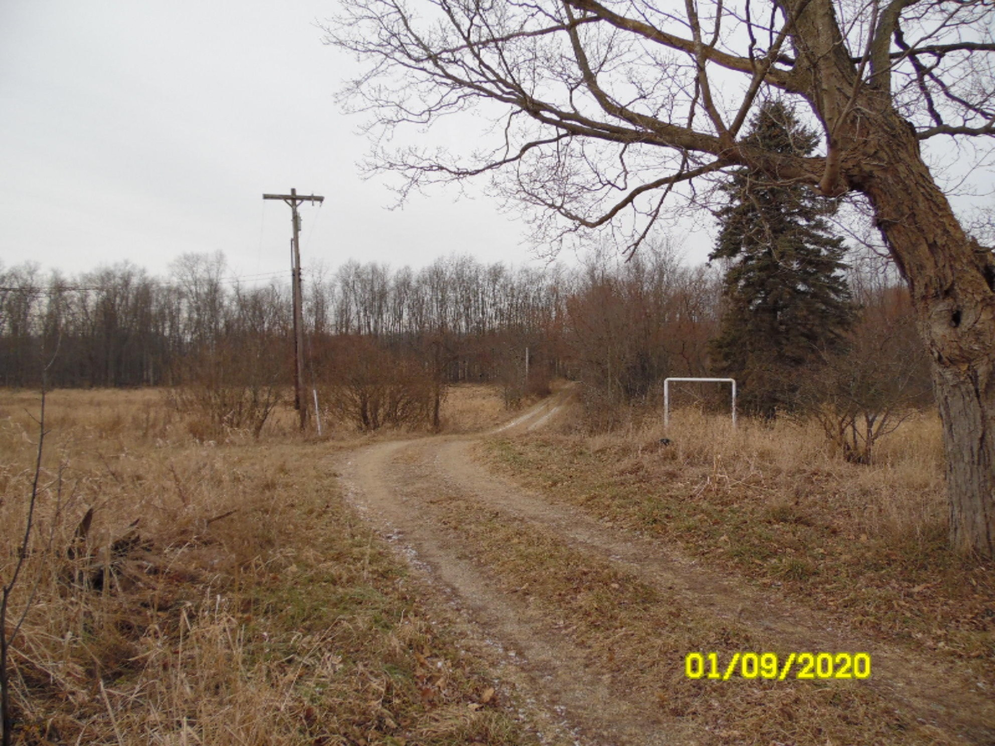 1040 Hacker Road Sherwood, MI 49089 - Photo 3 of 33 SAM_8455
