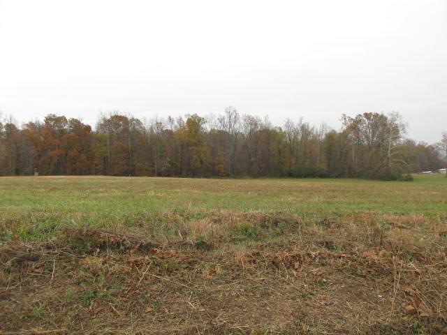 4 Maple Springs Road Manchester, TN 37355 - Photo 1 of 4 Gallery Image 1
