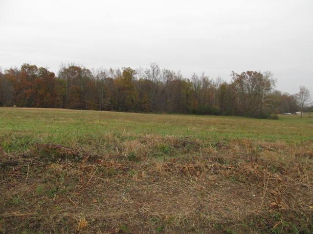 4 Maple Springs Road Manchester, TN 37355 - Photo 2 of 4 Gallery Image 2