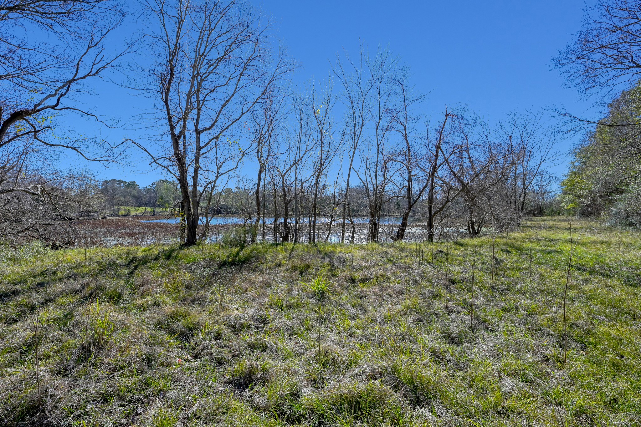 17319 Old Danville Road Willis, TX 77318 - Photo 11 of 19 a view of outdoor space with deck and tree