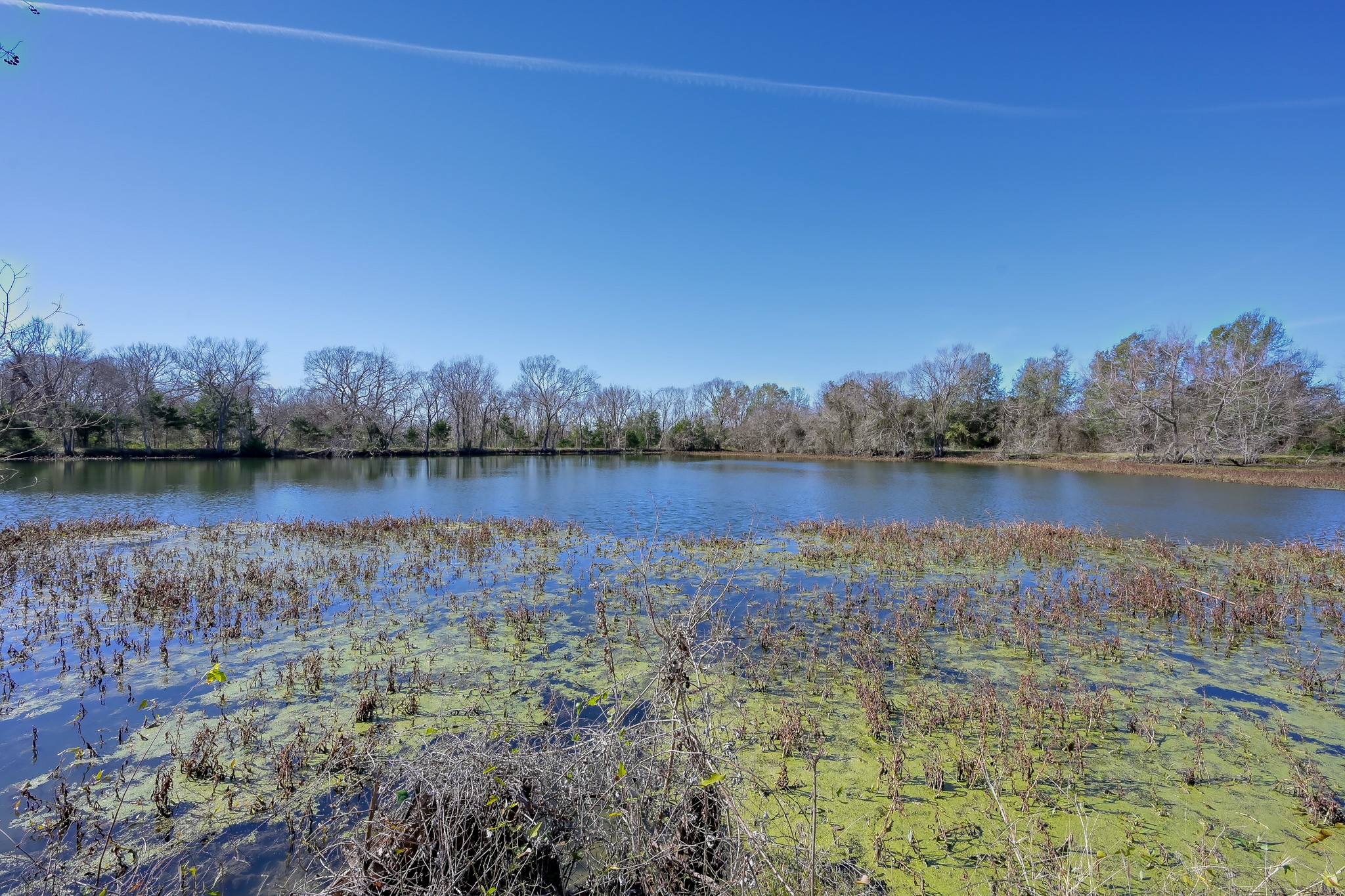 17319 Old Danville Road Willis, TX 77318 - Photo 12 of 19 a view of a lake with houses in the background