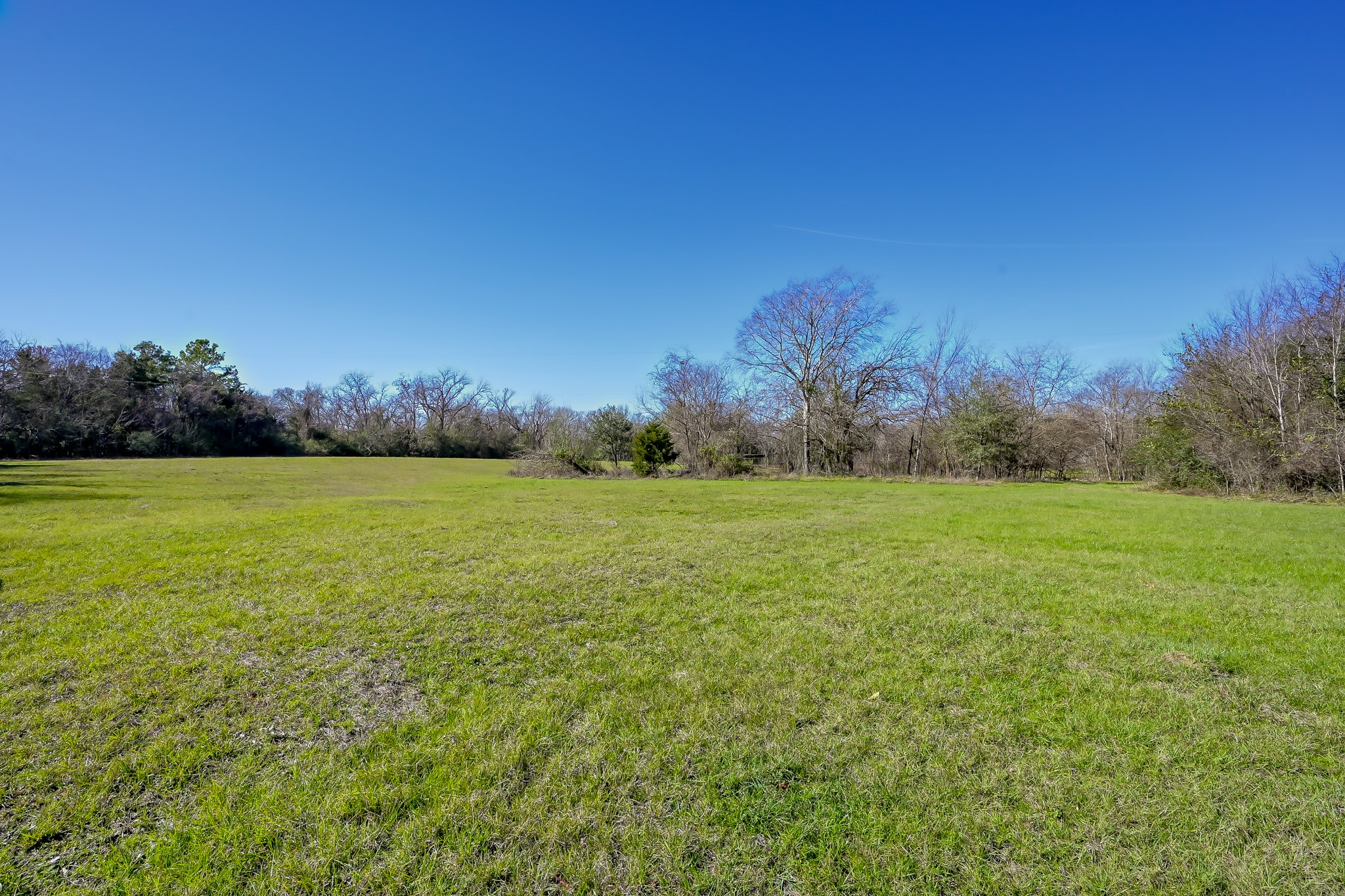 17319 Old Danville Road Willis, TX 77318 - Photo 13 of 19 a view of yard with ocean view