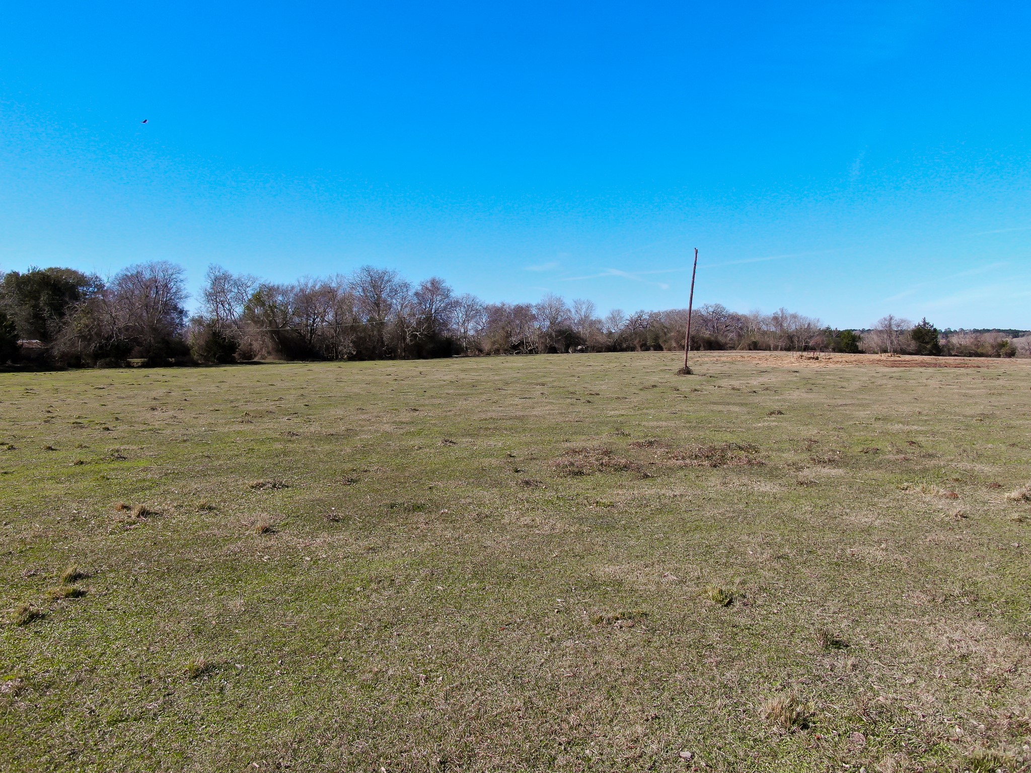 17319 Old Danville Road Willis, TX 77318 - Photo 14 of 19 a view of an ocean beach