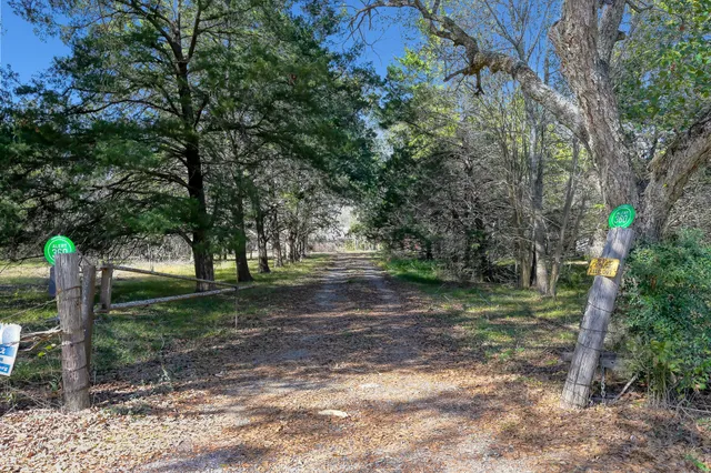 a view of a tree in the middle of a yard