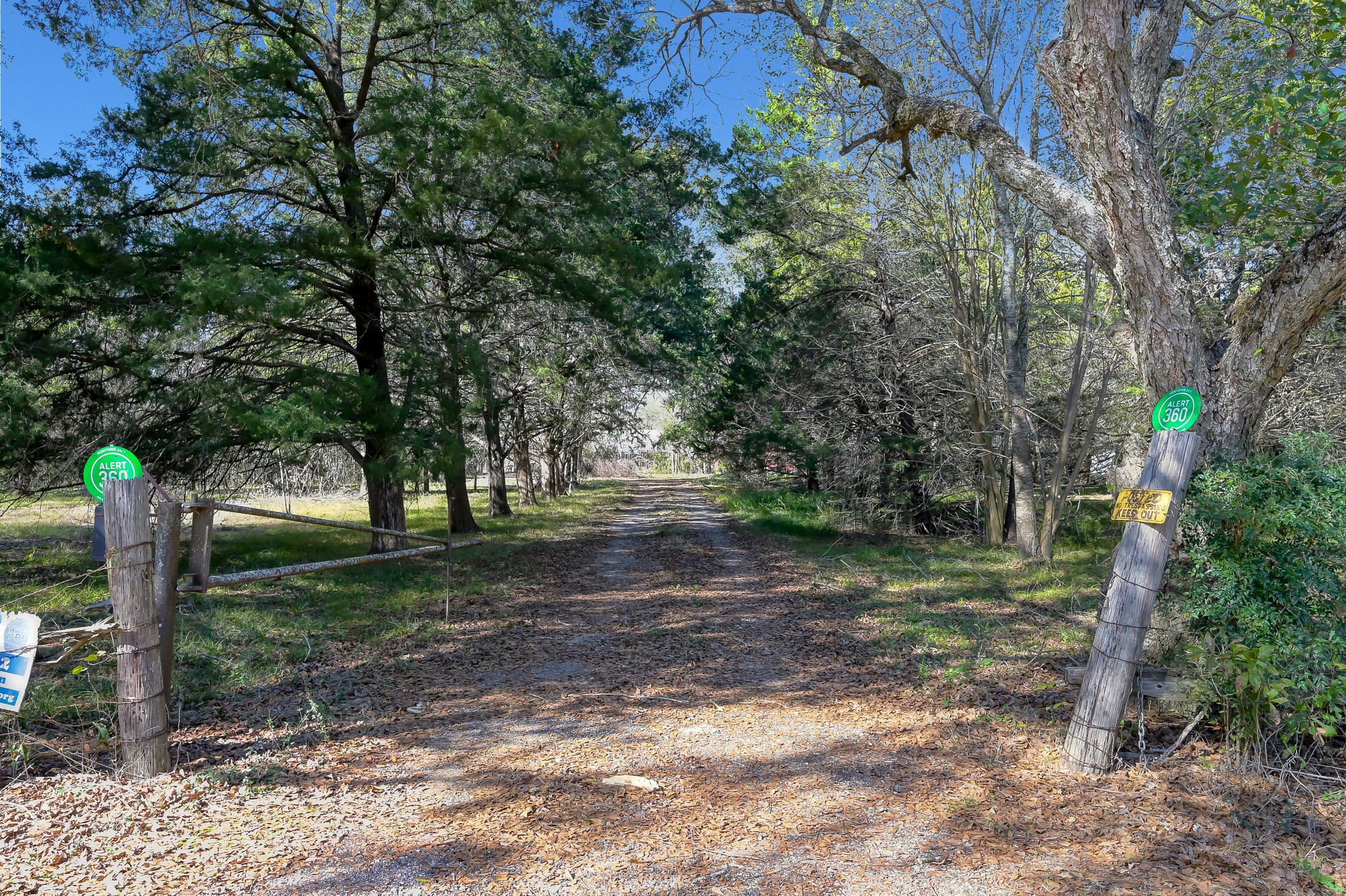 17319 Old Danville Road Willis, TX 77318 - Photo 2 of 19 a view of a tree in the middle of a yard