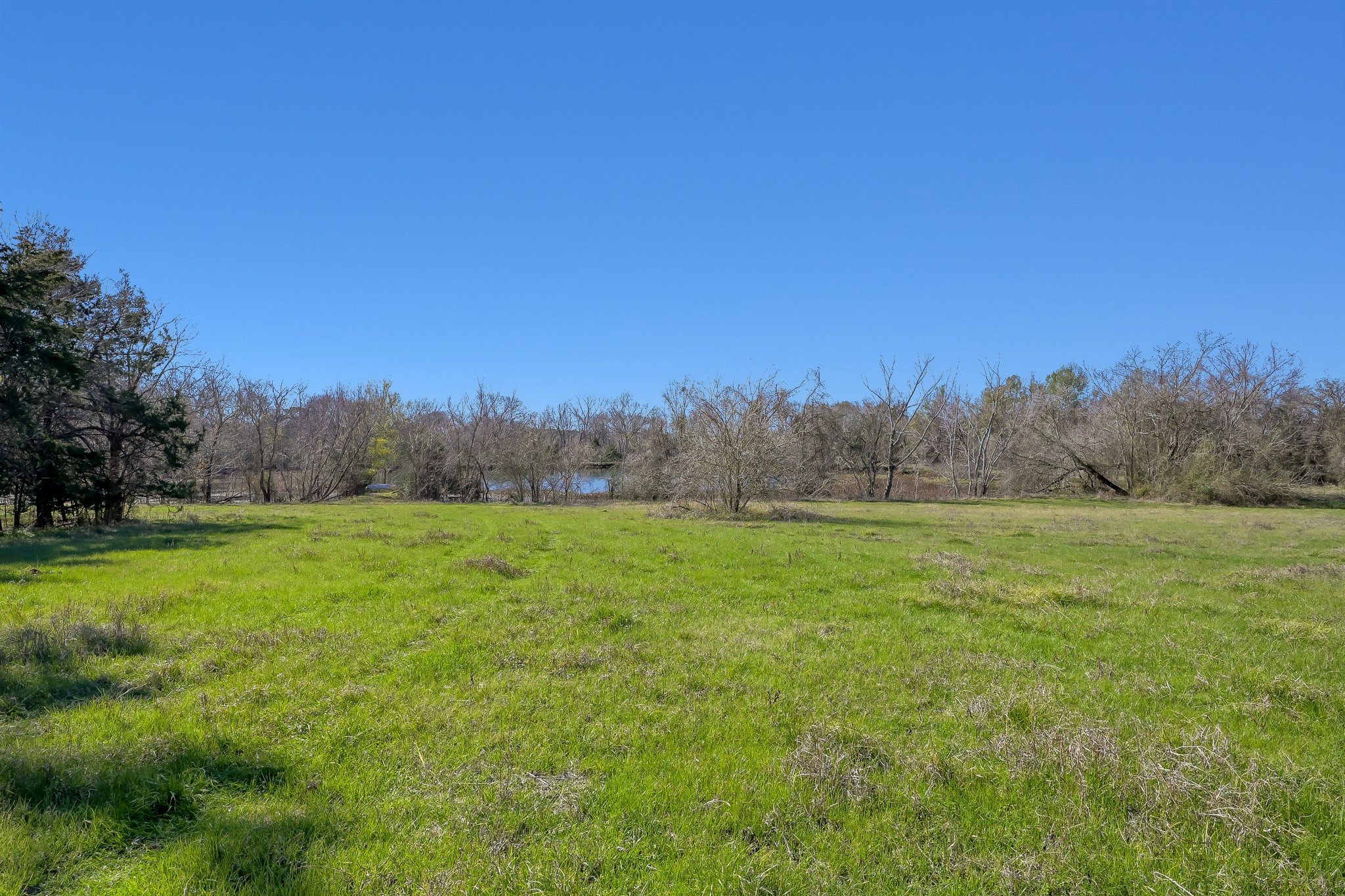 17319 Old Danville Road Willis, TX 77318 - Photo 3 of 19 a view of an outdoor space and a yard