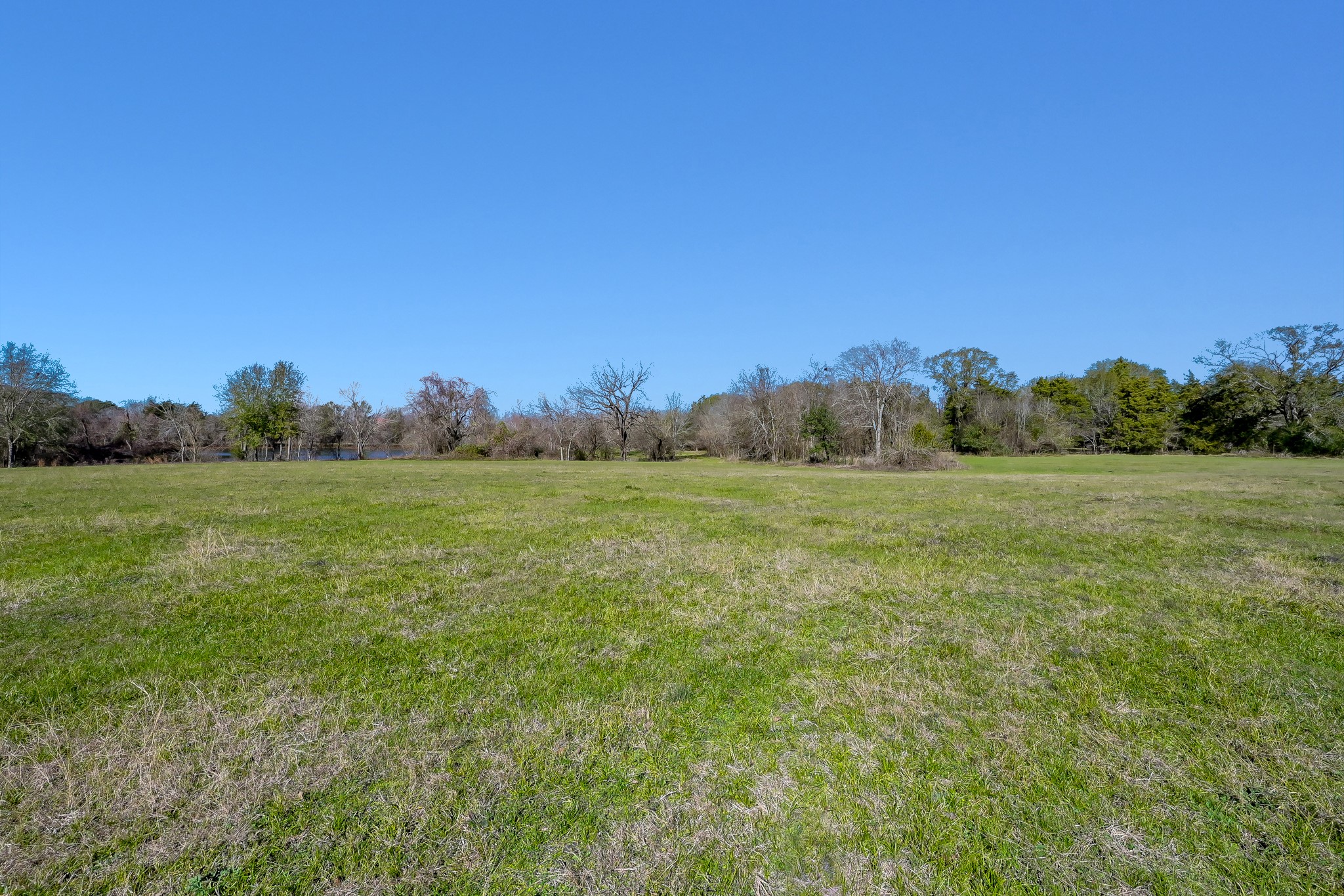 17319 Old Danville Road Willis, TX 77318 - Photo 4 of 19 a view of a field with trees in background