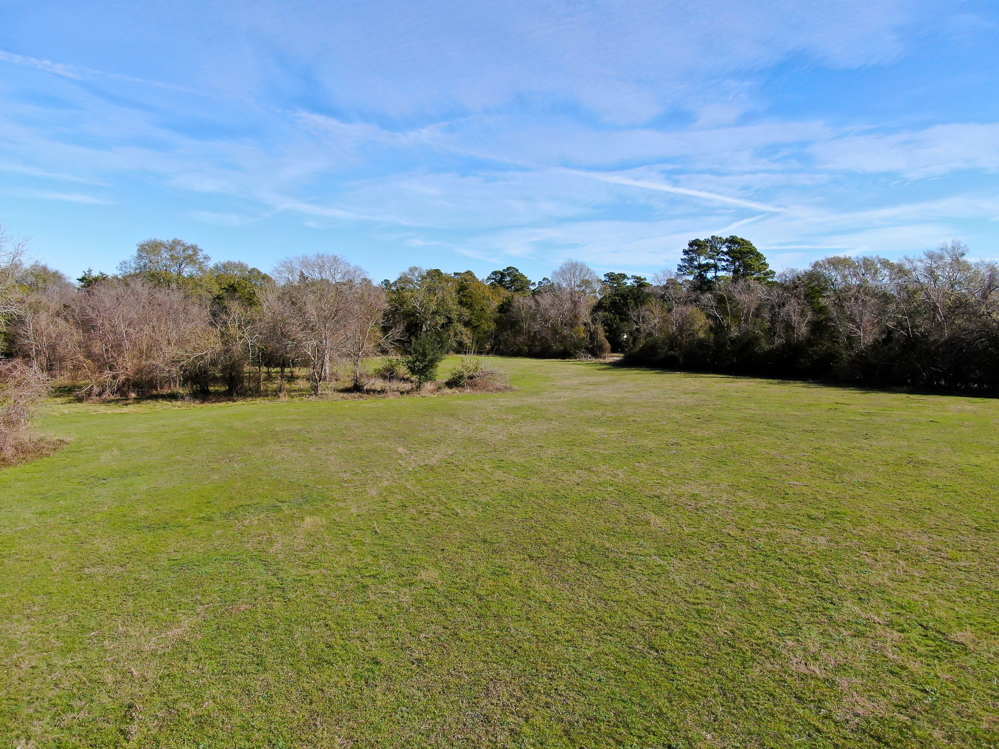 17319 Old Danville Road Willis, TX 77318 - Photo 7 of 19 a view of a field with an ocean