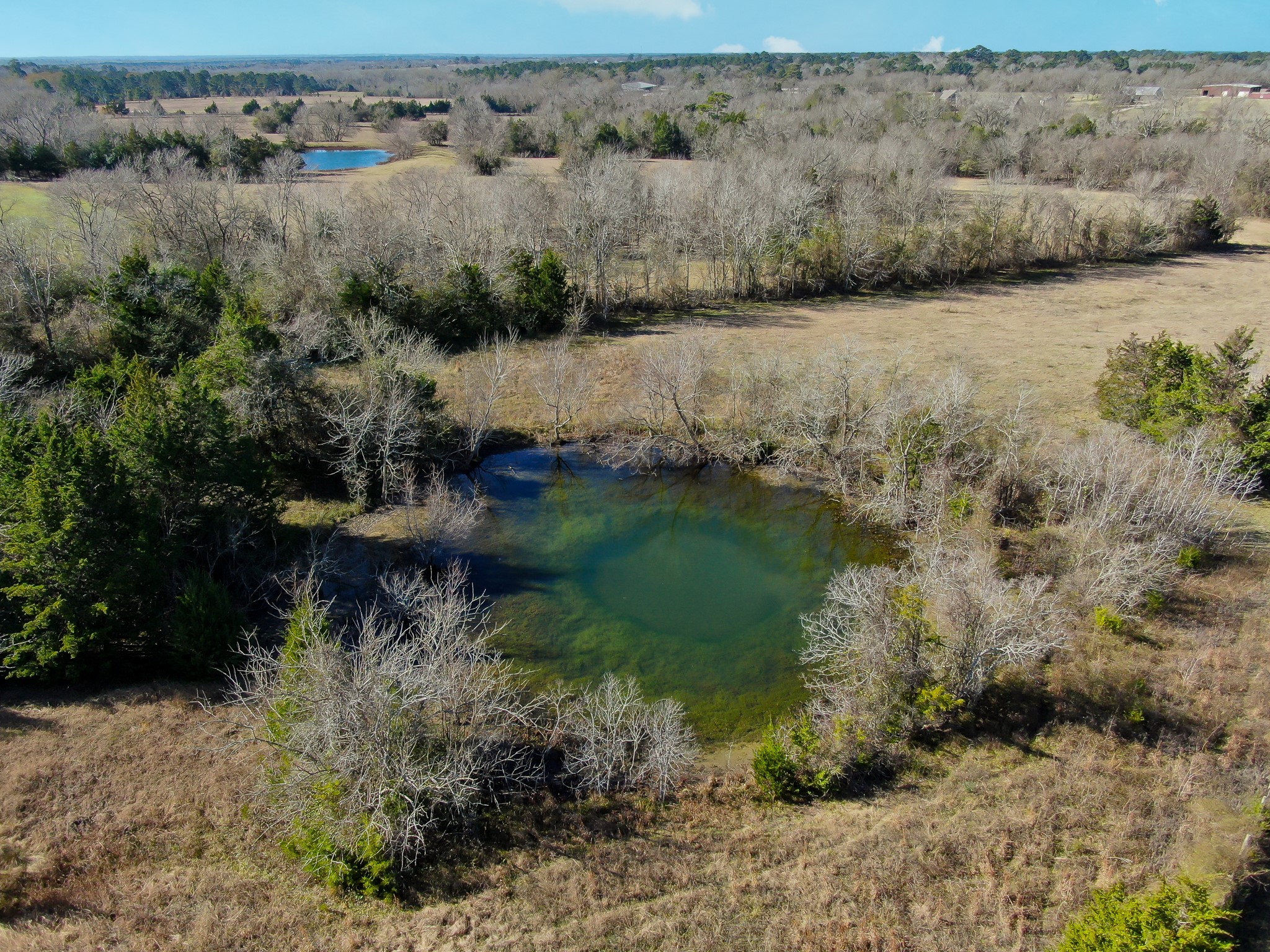 17319 Old Danville Road Willis, TX 77318 - Photo 8 of 19 a view of lake with green space