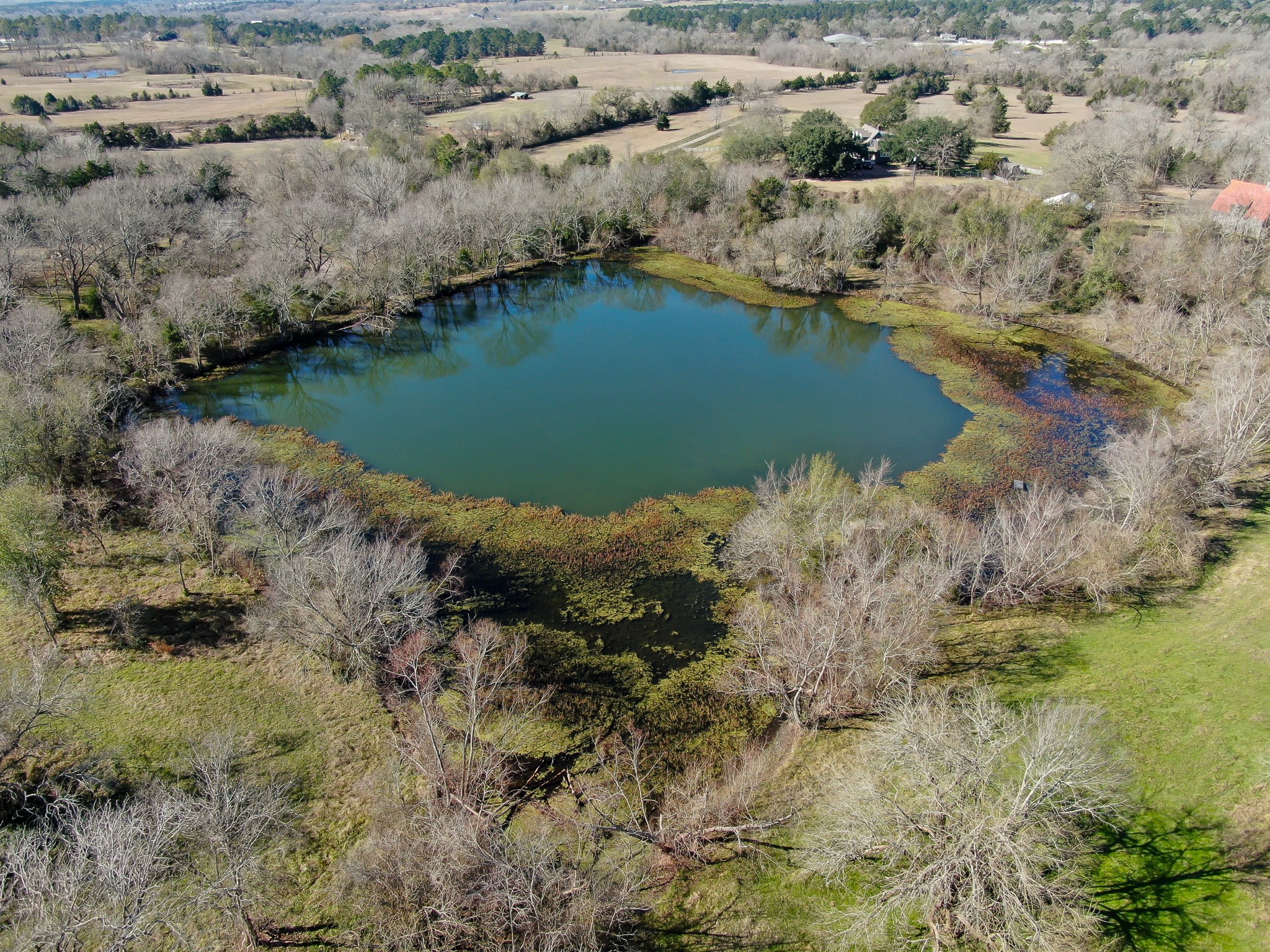 17319 Old Danville Road Willis, TX 77318 - Photo 9 of 19