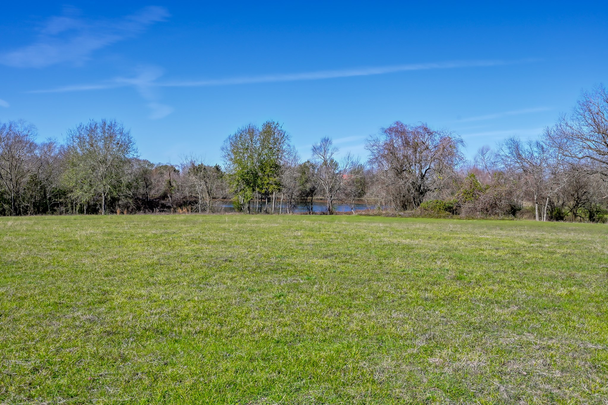 17319 Old Danville Road Willis, TX 77318 - Photo 10 of 19 a view of a field with trees in background