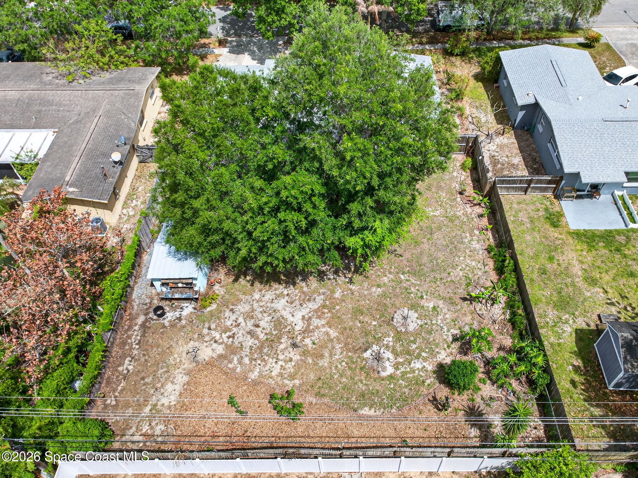 2737 Cherbourg Road Cocoa, FL 32926 - Photo 34 of 44 Dragon Fruit and Lichee Trees