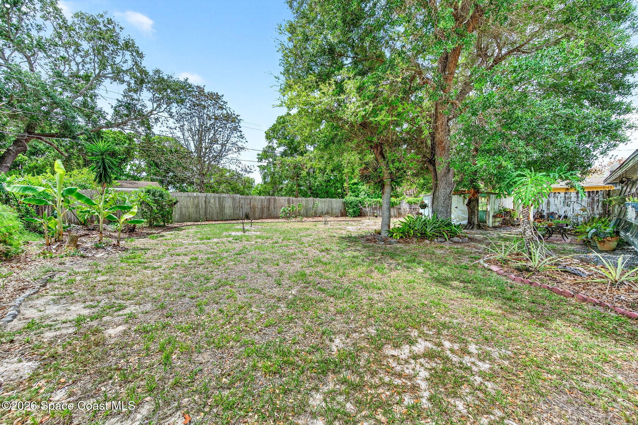 2737 Cherbourg Road Cocoa, FL 32926 - Photo 8 of 44 Banana Trees and Avacadoes