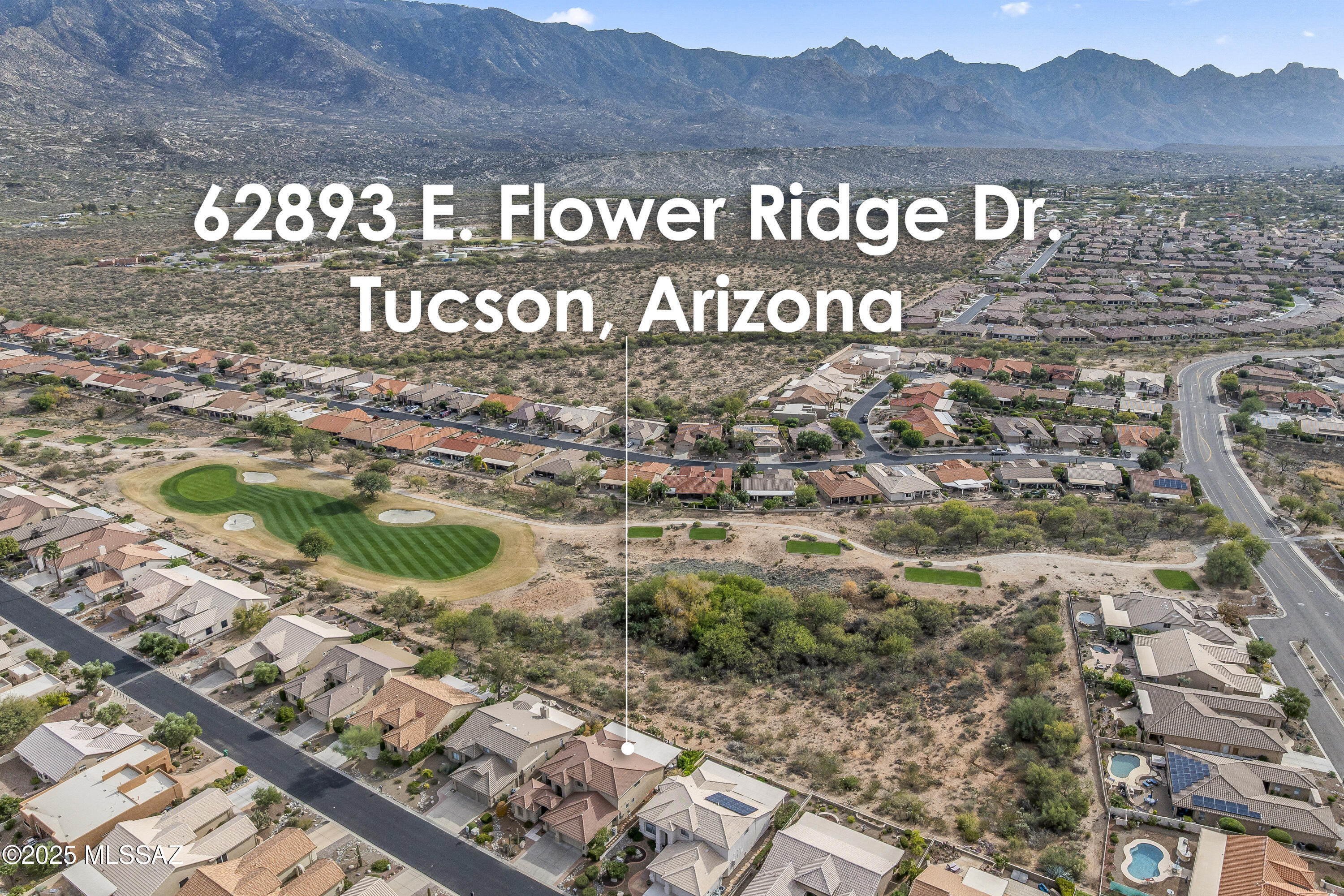 62893 East Flower Ridge Drive Tucson, AZ 85739 - Photo 3 of 49 42-62893 (12 of 15)