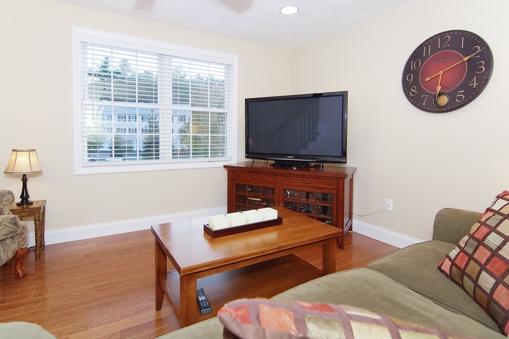 81 Salem Road, Unit 101 Billerica, MA 01821 - Photo 16 of 30 a living room with furniture and a flat screen tv