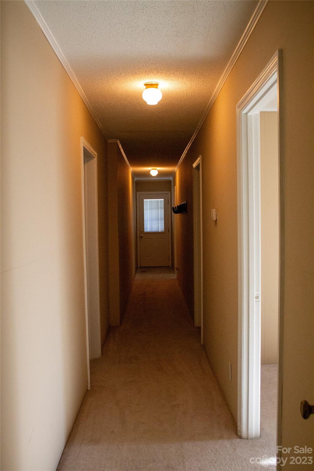 406 Fair Street Bethune, SC 29009 - Photo 27 of 28 a view of hallway