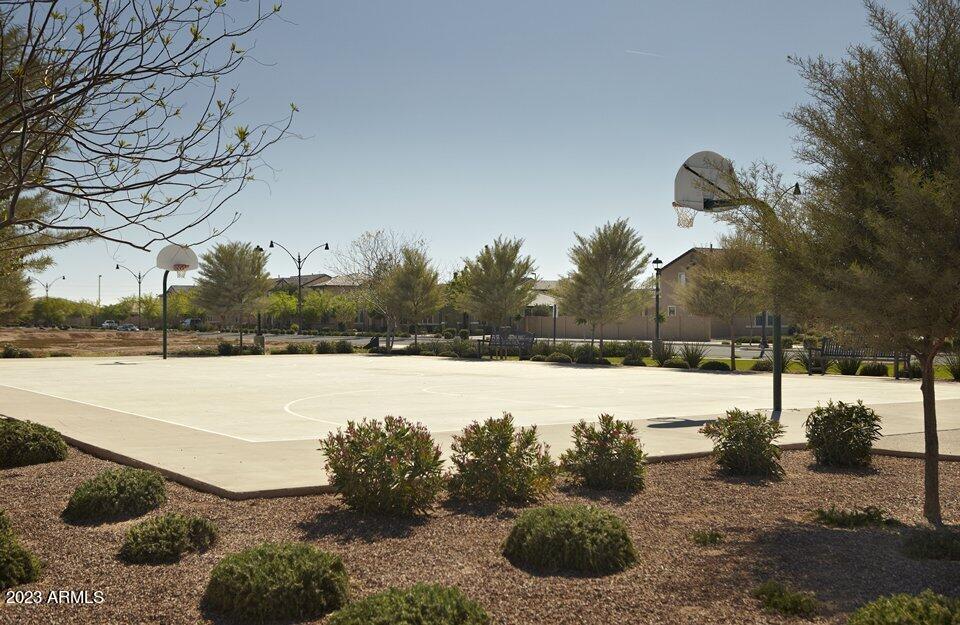 2979 East Harrison Street Gilbert, AZ 85295 - Photo 30 of 34 WEB-AZ-CI-LyonsGate-Basketball