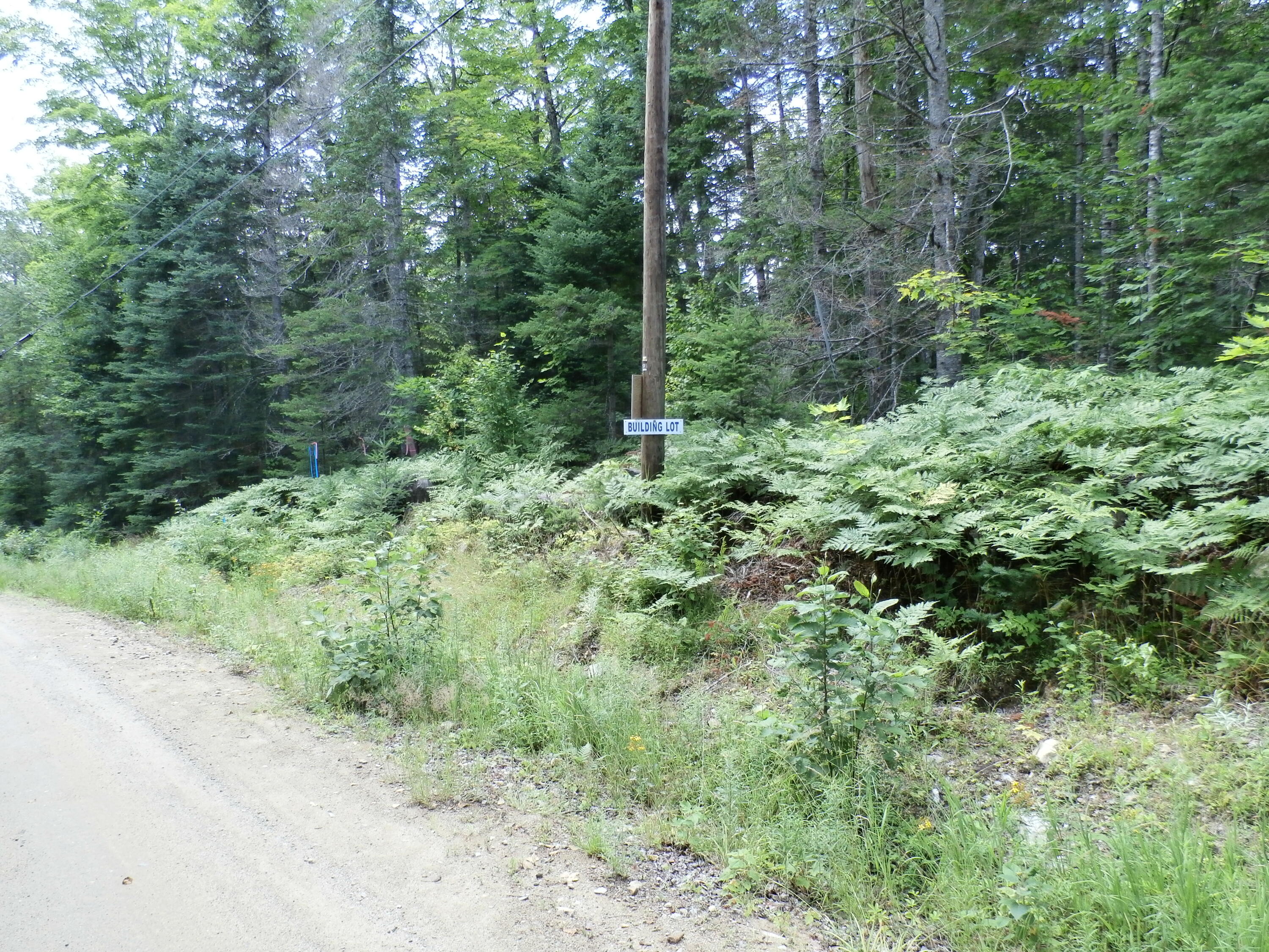 P7160006