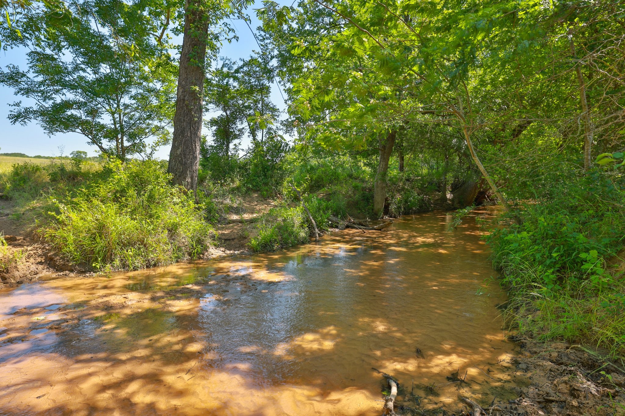305 Rd Navasota Tx 77868 Road Navasota, TX 77868 - Photo 1 of 24 Gallery Image 1