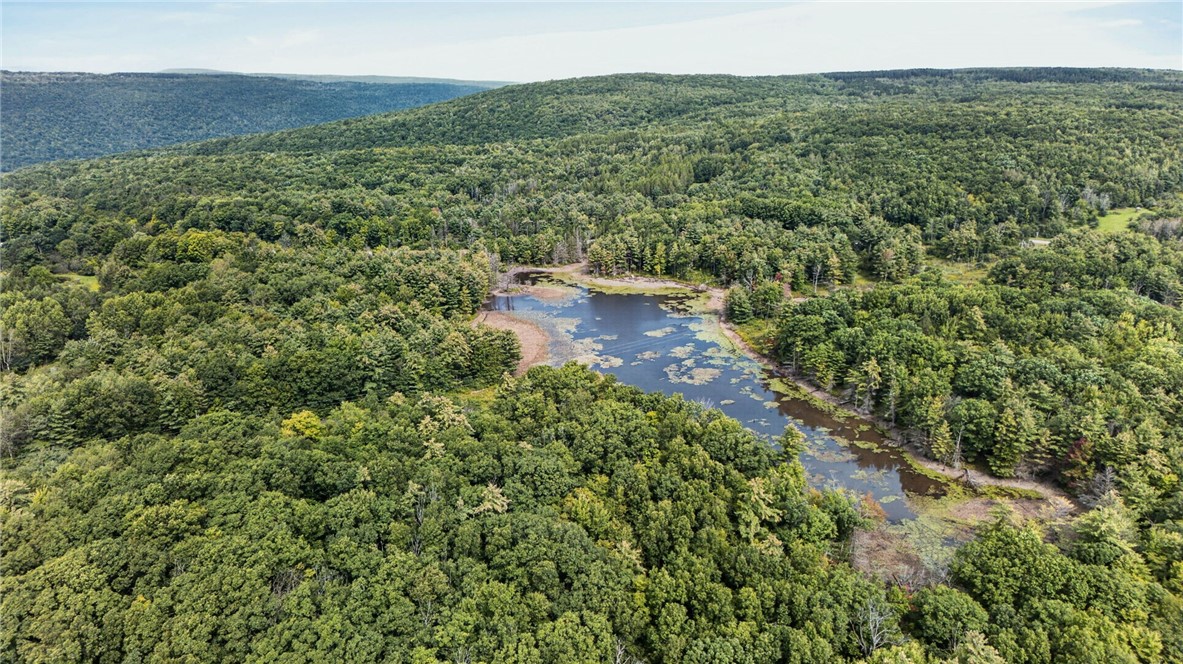 3380 Wells Road Italy, NY 14418 - Photo 32 of 38 Gallery Image 32