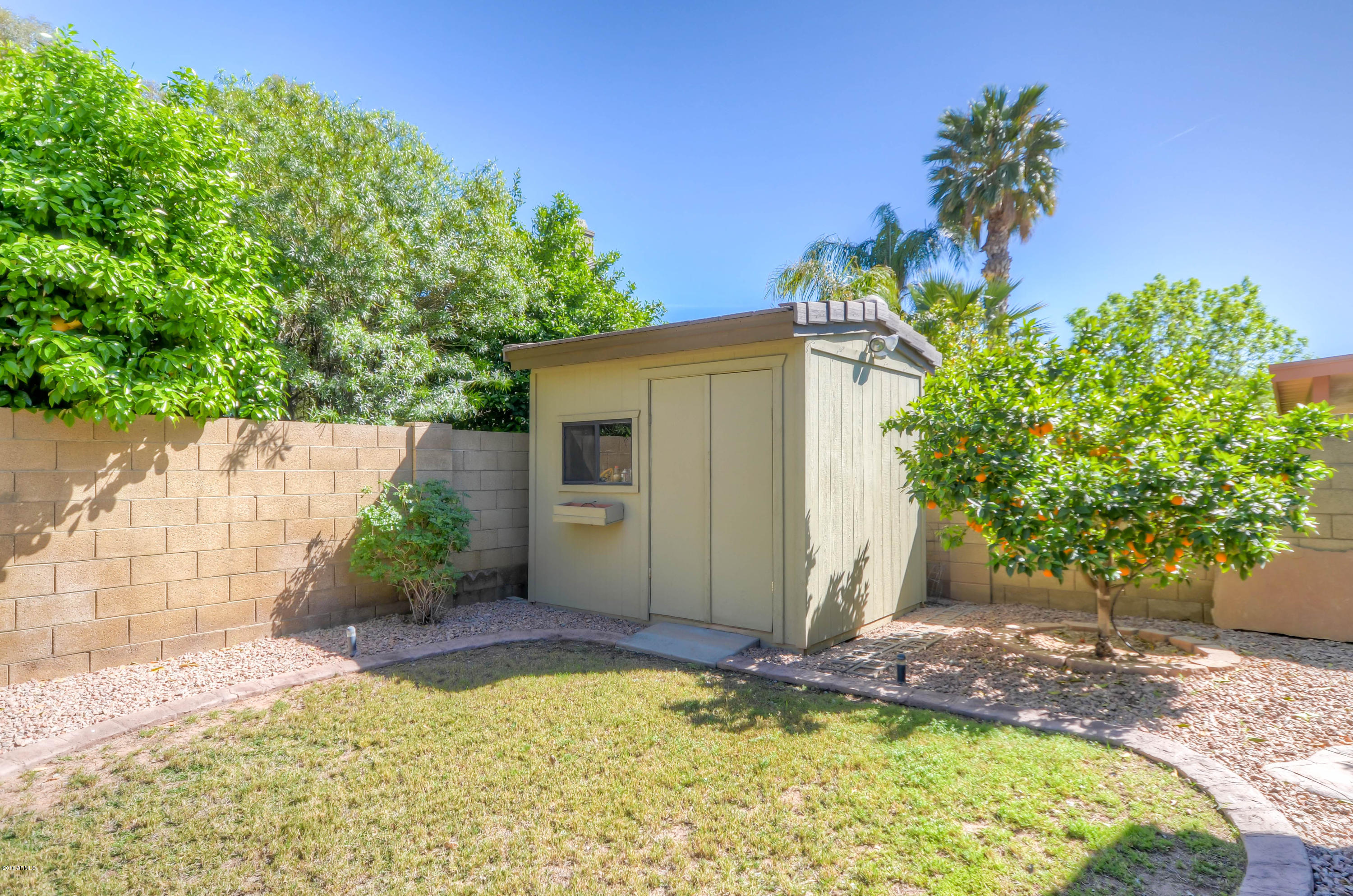 1433 North Woodside Road Chandler, AZ 85224 - Photo 60 of 70 a backyard of a house with lots of green space