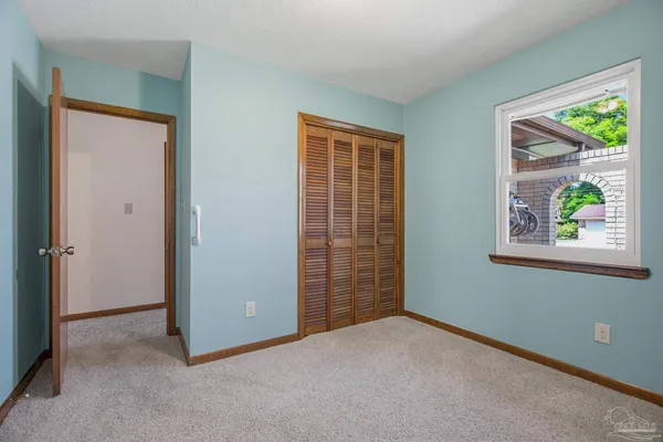 a backyard of a house with plants and large tree
