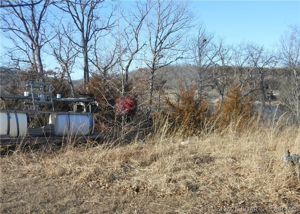 6 Jumping Bass Cove Road Roach, MO 65787 - Photo 3 of 4 Gallery Image 3