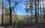 a view of forest
