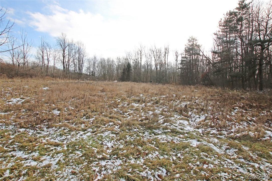12254 Hill Road Goodrich, MI 48438 - Photo 42 of 52 42) Backyard Field.jpg