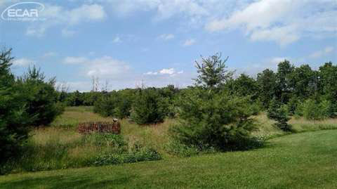 6214 Reid Road Swartz Creek, MI 48473 - Photo 9 of 16 20441414-8.JPG