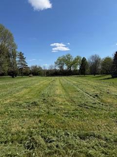 402 Newmans Cardington Road East Marion, OH 43302 - Photo 4 of 4 IMG_2764