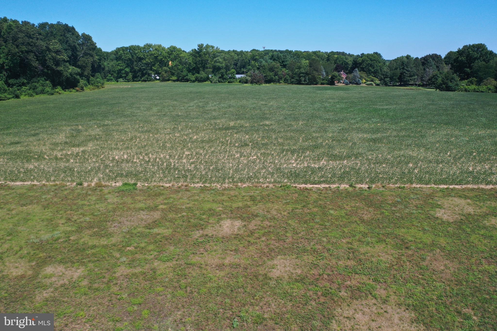 a view of a field with an trees in the background