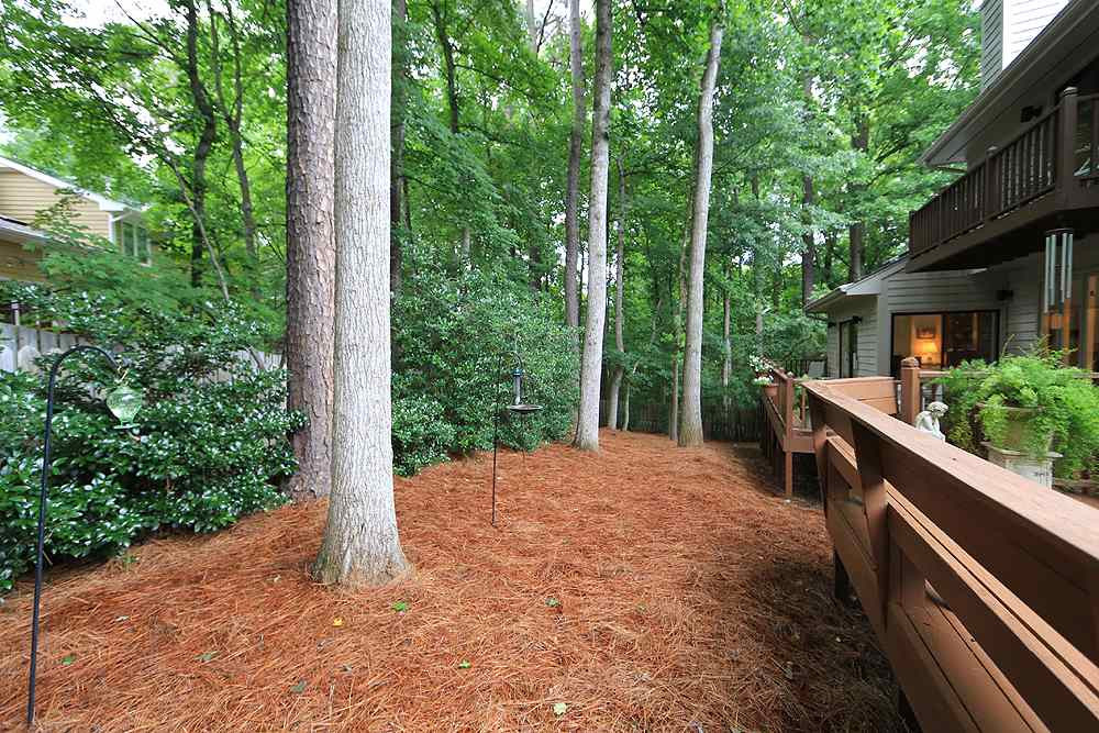 1504 Pecore Place Raleigh, NC 27615 - Photo 22 of 25 This yard has been extremely well taken care of. Also be sure to notice the fence that goes around as well as a beautiful iron gate. Back Yard