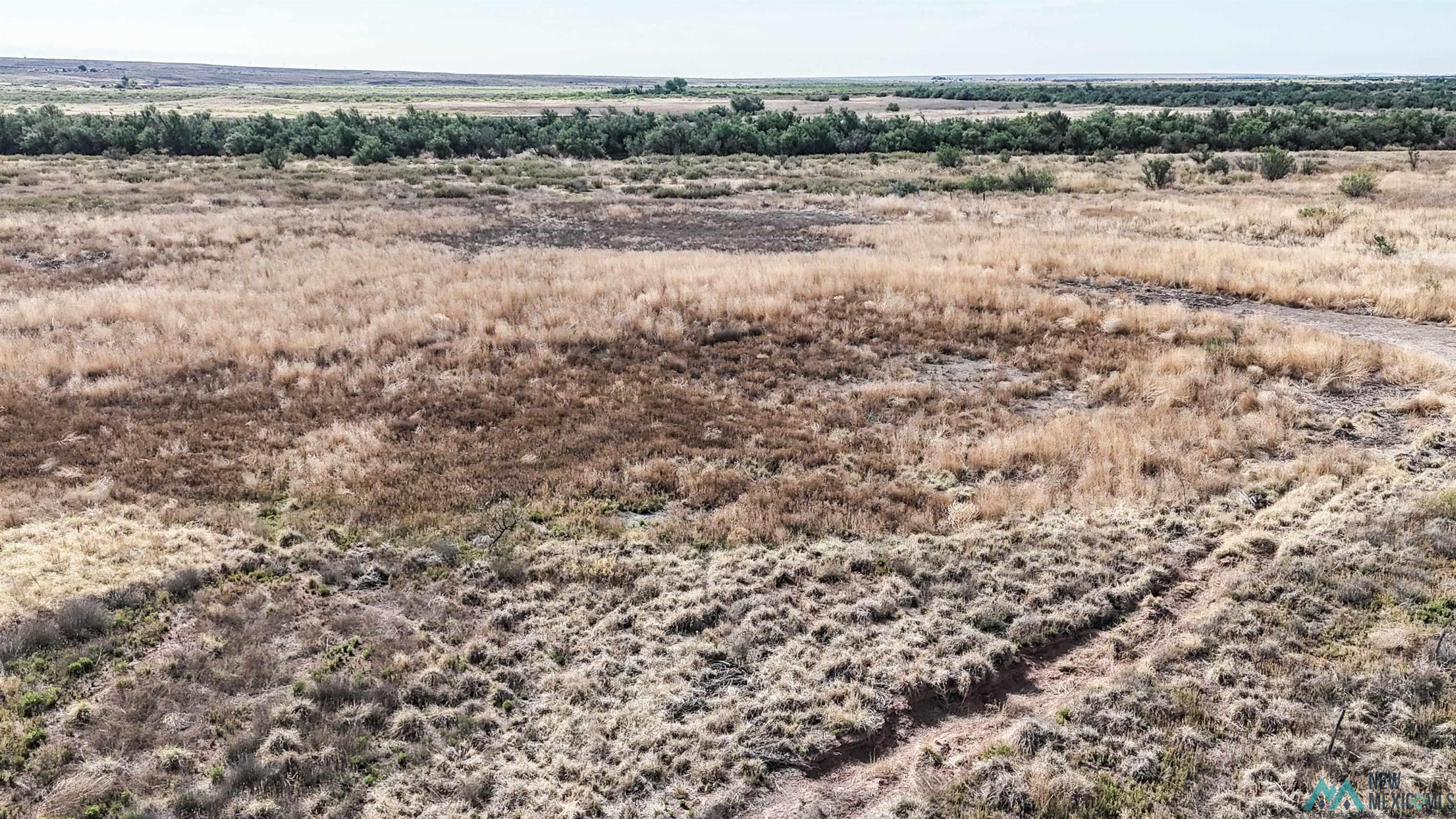 0 Tutelo Road Dexter, NM 88230 - Photo 2 of 11 Gallery Image 2