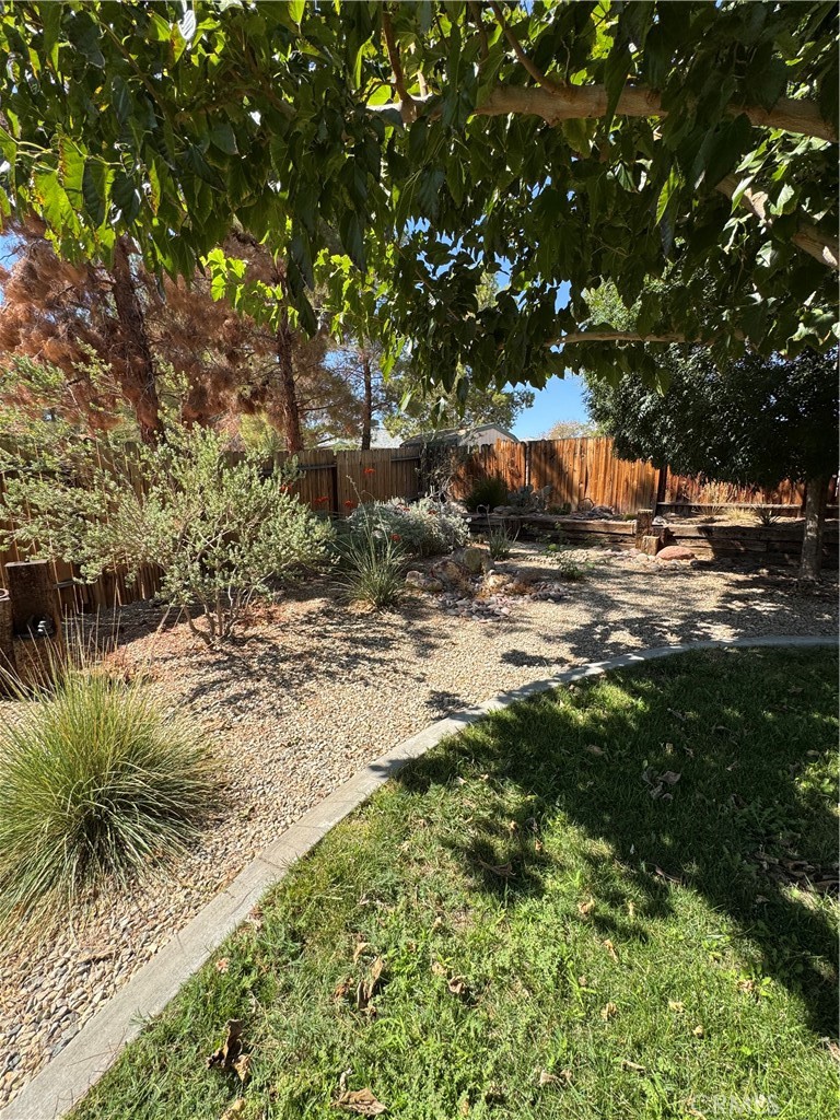 209 Kimberly Lane Ridgecrest, CA 93555 - Photo 11 of 62 a view of a yard with plants and trees