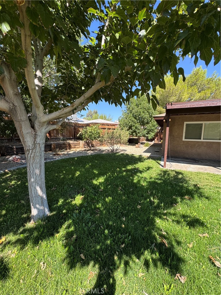 209 Kimberly Lane Ridgecrest, CA 93555 - Photo 12 of 62 a backyard of a house with lots of green space