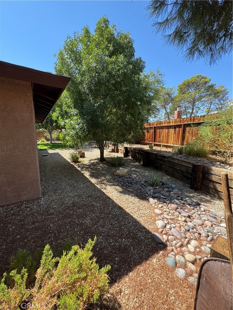 209 Kimberly Lane Ridgecrest, CA 93555 - Photo 5 of 62 a view of a backyard with plants and palm tree
