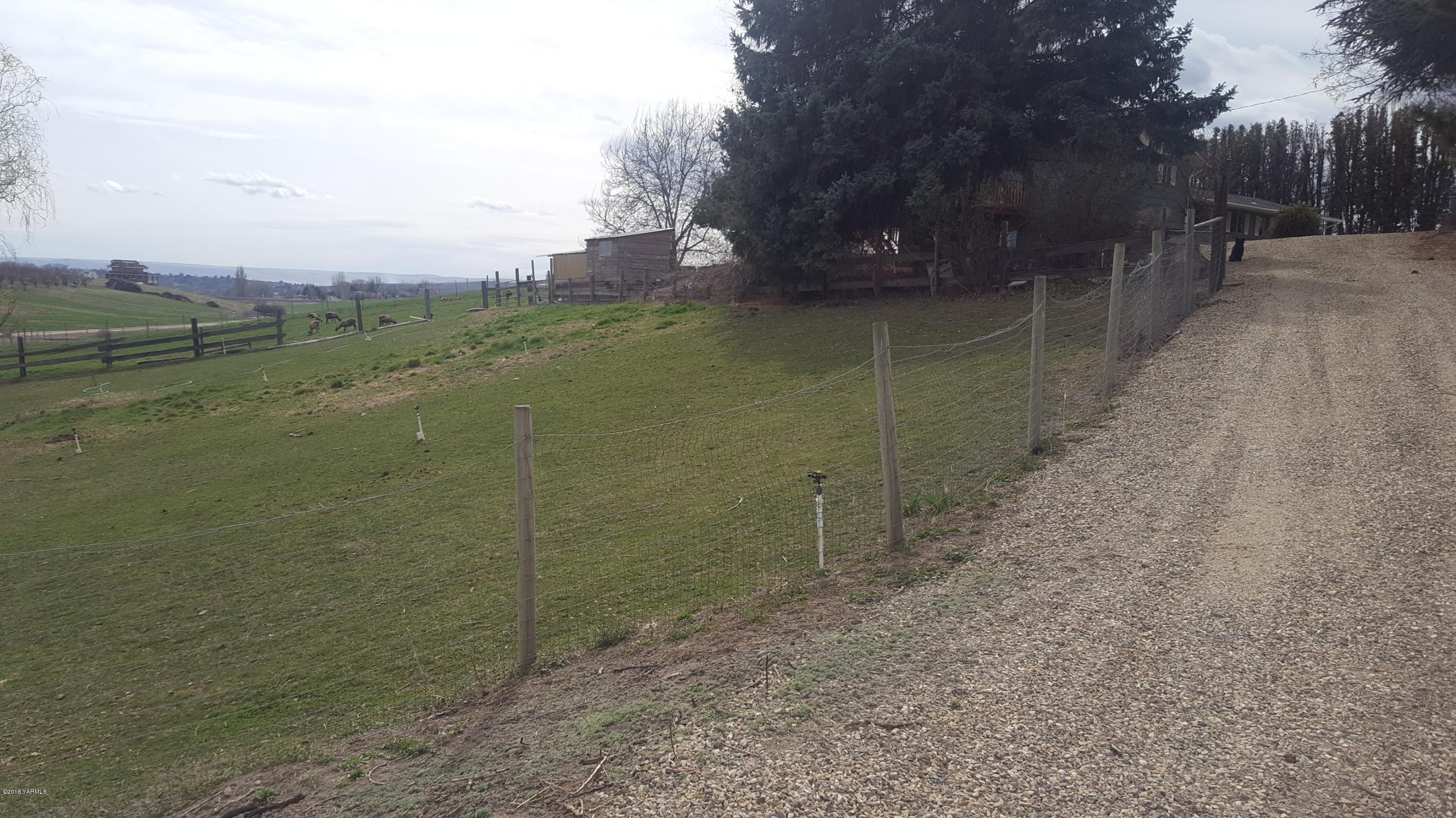 3380 Reeves Road Sunnyside, WA 98944 - Photo 2 of 32 a view of a dry yard with trees