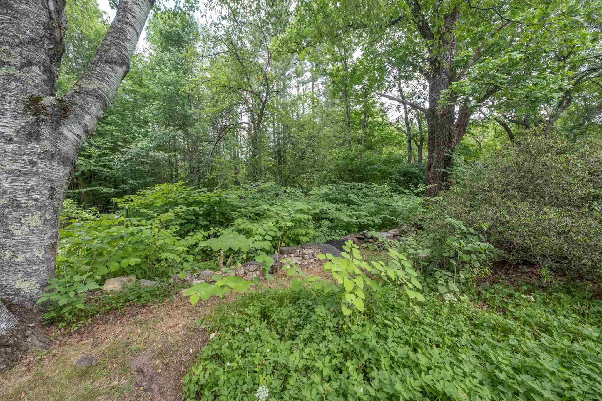 683 Dundee Road, Unit 10 Jackson, NH 03846 - Photo 37 of 38