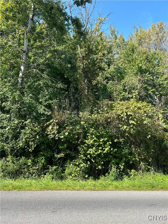 Lot 2 Beach Road Brewerton, NY 13029 - Photo 1 of 1 Gallery Image 1