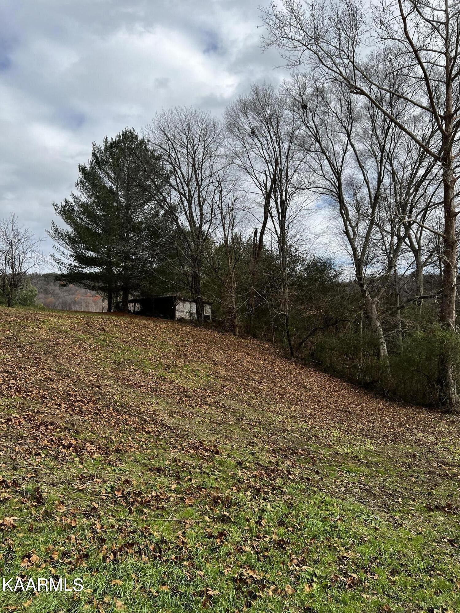 136 Hawkins Road Rocky Top, TN 37769 - Photo 8 of 16 Gallery Image 8