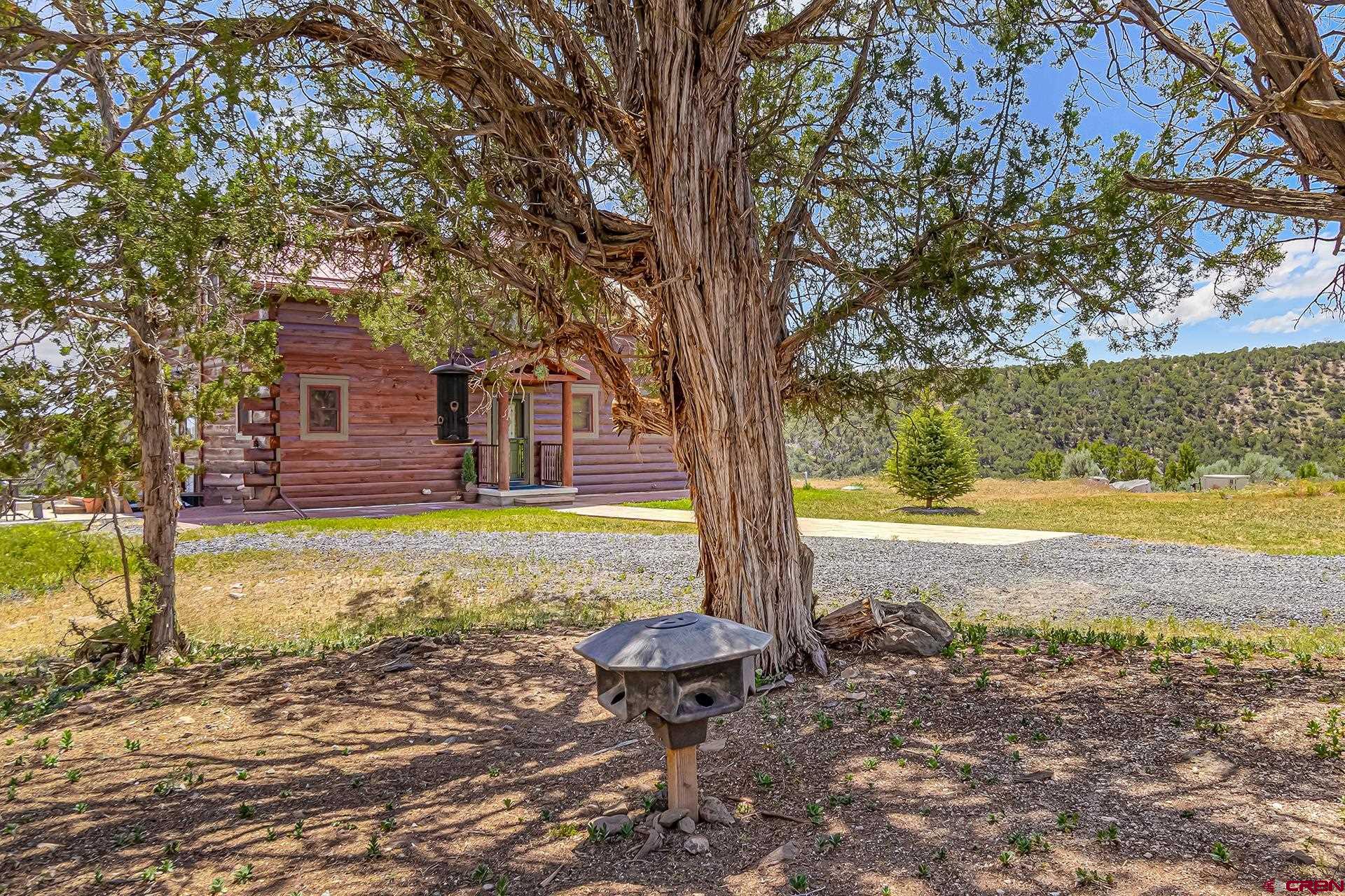 26986 Cactus Park Road Cedaredge, CO 81413 - Photo 40 of 43